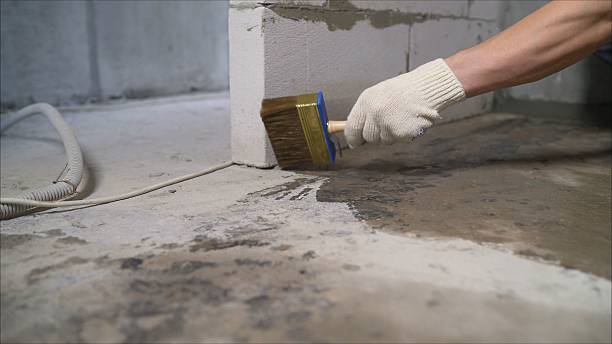 24/7 Emergency Exterior Waterproofing experts in Paris Crossing, IN